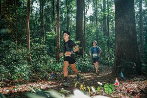 BIB: 
                            <button type="button" onclick="openModal(26076997)" class="btn btn-primary btn-sm float-right btn-popup" data-toggle="modal" data-target=".modal-high-quality">
                        <i class="fas fa-shopping-cart"></i> Add to Cart
                    </button>
                                            <button type="button" onclick="isThisMe(26076997, true)" class="btn btn-success btn-sm float-right btn-popup btn-isme hidden" data-toggle="tooltip" data-placement="bottom" title="นี่คือรูปของคุณใช่ไหม คลิกที่นี่เพื่อเอาเข้าอัลบั้ม">
                        <i class="fas fa-plus"></i> Add to album
                    </button>
                    <button type="button" onclick="isThisMe(26076997, false)" class="btn btn-warning btn-sm float-right btn-popup btn-isnotme hidden">
                        <i class="fas fa-ban"></i> Remove from album
                    </button>